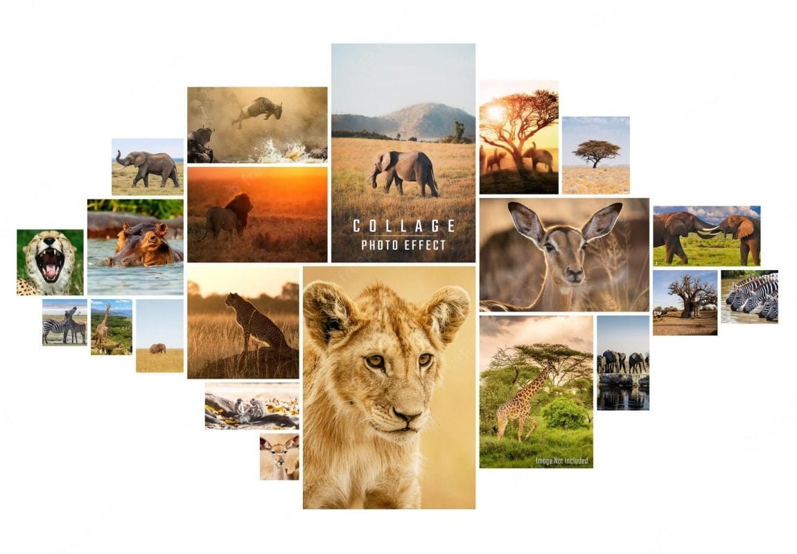 TOP 5 ỨNG DỤNG GHÉP ẢNH HOT NHẤT NĂM 2022